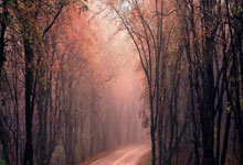 九游体育直播-西雅图海湾者严阵以待，防守端力求零封对手