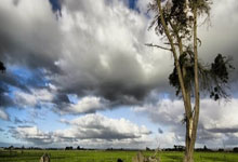 九游娱乐app下载-伯纳乌的胜利密码：解码皇家马德里主场不败神话