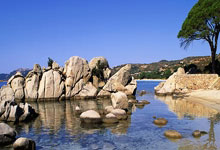 九游体育直播-西雅图海湾者严阵以待,防守端力求零封对手