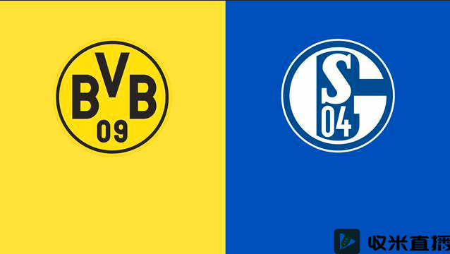 多特蒙德力克沙尔克,客场取得重要胜利的简单介绍 多特蒙德力克沙尔克,客场取得重要胜利的简单介绍