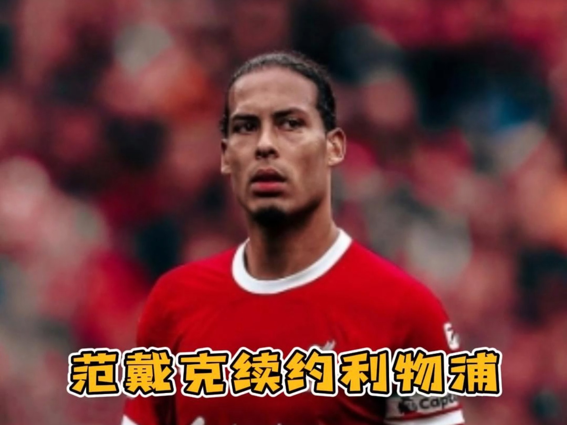 九游体育APP下载-荷兰足球队主帅范戴克被解雇，球队表现不如预期